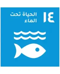 Life below water