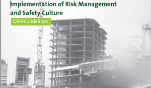 Implementation of Risk Management1_1